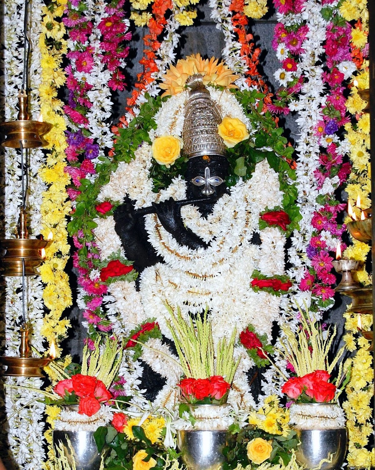 Lord Sri Krishna — Divine Darshana